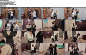 [李大侠] 落难女侠下-丝依依