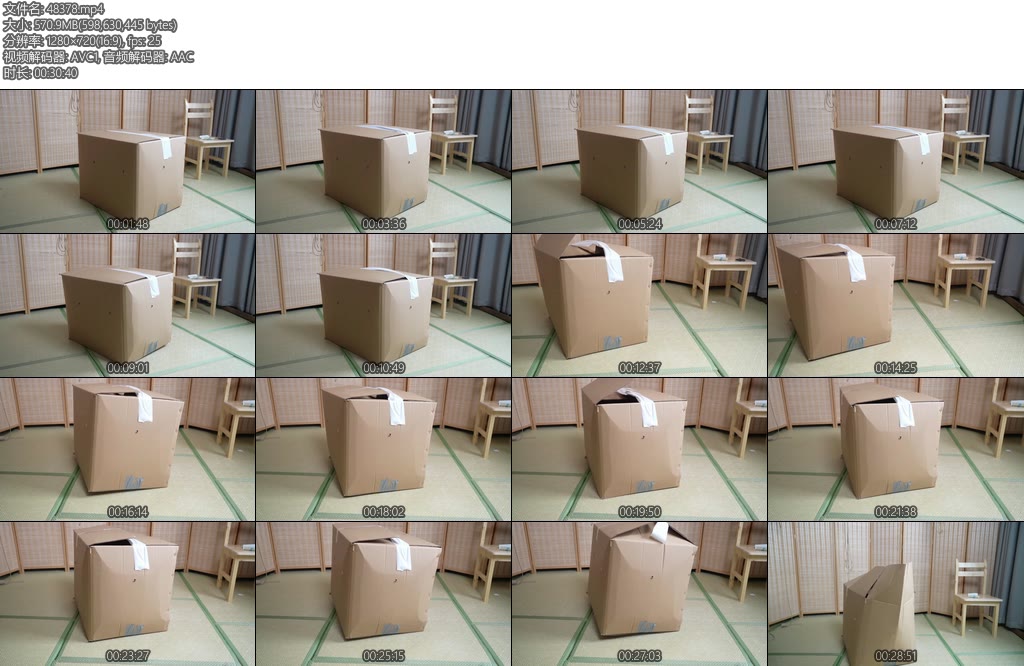 [象人原创] 嗷嗷纸箱挣扎2-丝依依