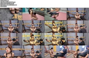 [李大侠] 入室绑架佳佳2-丝依依