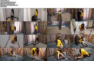 [随心原创] 杨蕊黄色马甲女犯入监-丝依依