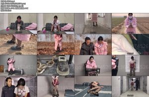 [鑫鑫原创] 小主播露出遇见根据女主播做任务露出被发现素材改编在某魔王台真播的小主播接各种任务挑战榜一大哥刷礼物下达任务让戴手铐脚镣口球做户外露出任务-丝依依