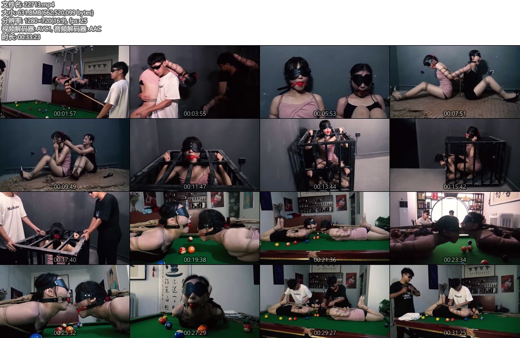 [胜景影视] 连续剧落难姐妹（第十一集）-丝依依