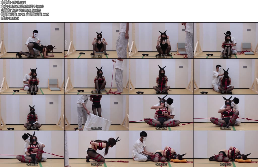 [云翎清风] 小九的调教日记二-丝依依