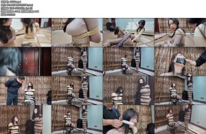 [枫叶原创] 律师惊魂记下集-丝依依