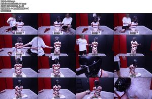 [D-Lemom] ハイレグ緊縛全頭マスクバルーンFULL-丝依依