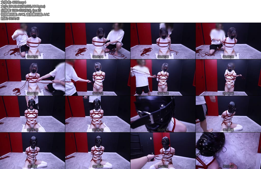 [D-Lemom] ハイレグ緊縛全頭マスクバルーンFULL-丝依依