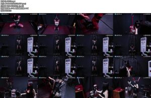 [JIOJIO原创] 女王的堕落母畜马奴油光连体乳胶头套马具口衔M腿欧式直臂红绳紧缚半吊放置龙门架漆皮高跟束腰单手套电击贞操锁站立笼放置女王训马高抬腿扇脸罚跪刑具SP强制GC-丝依依