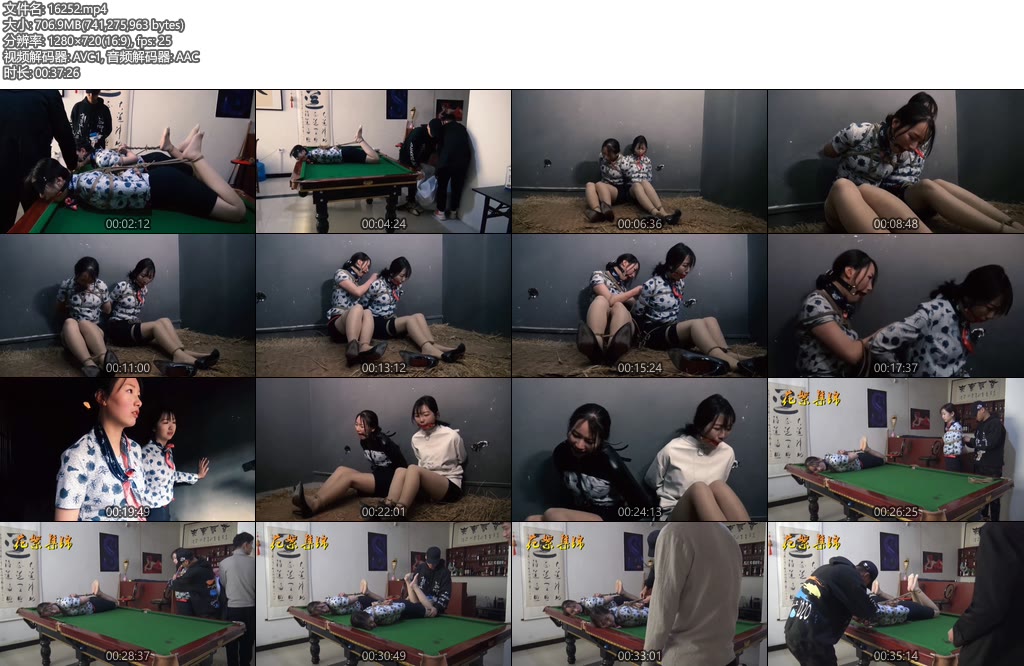 [胜景影视] 空姐劫难（下）-丝依依