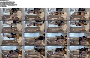 [亚洲绳艺] 被吊缚的布洛尼亚-丝依依