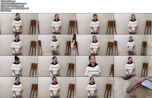 [龙飞原创] 诈骗犯刘莉莉判处死刑枪决-丝依依