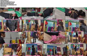 [束心原创] 大星和兰兰职业套裙黑丝捆绑木马项圈牵引两部曲小合集-丝依依