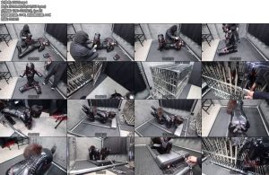 [D-Lemom] 10分ヒトイヌ歩行訓練complete plan-丝依依