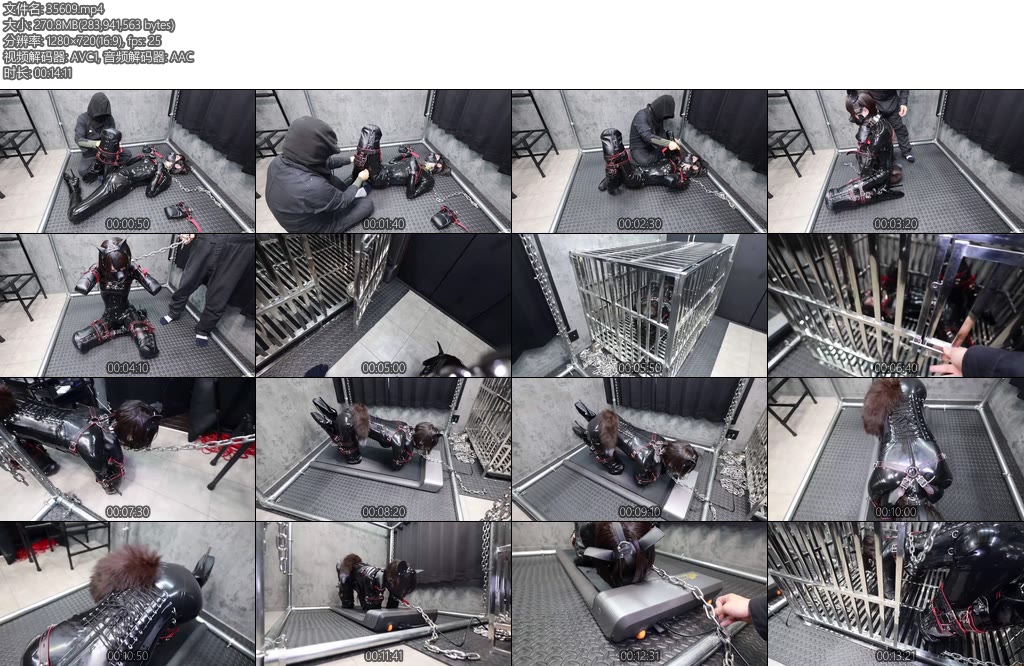 [D-Lemom] 10分ヒトイヌ歩行訓練complete plan-丝依依