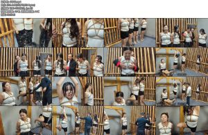 [李大侠] 特战行动中-丝依依