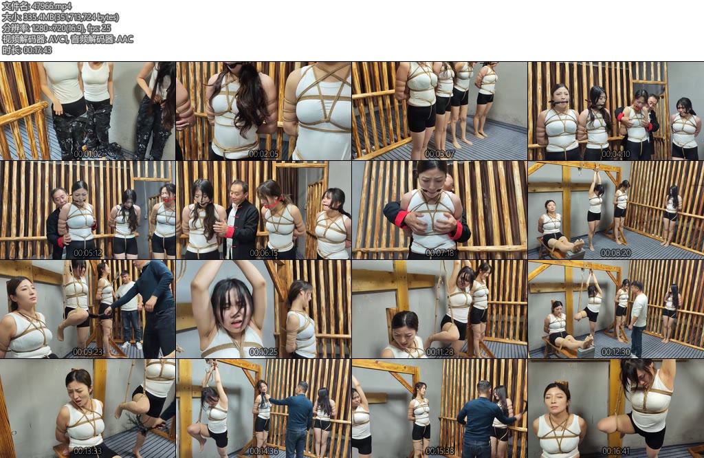 [李大侠] 特战行动中-丝依依