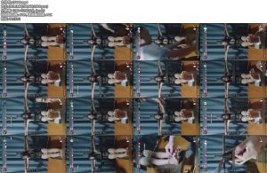 [亚洲绳艺] 看狐狸在三哥调教室-丝依依