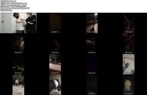 [可乐inrey] 致敬90夫妻妞妞博主午夜捆绑外出嗨皮棒棒口球齐上阵厕所爽口-丝依依