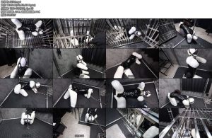 [D-Lemon] 10分ヒトイヌ包帯拘束イラマ責めcomplete plan-丝依依