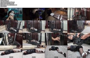 [枫叶原创] 惊魂影视公司之落入全套的女明星上-丝依依