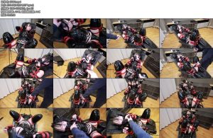 [D-Lemon] 四肢拘束ヒトイヌ口内責め-丝依依