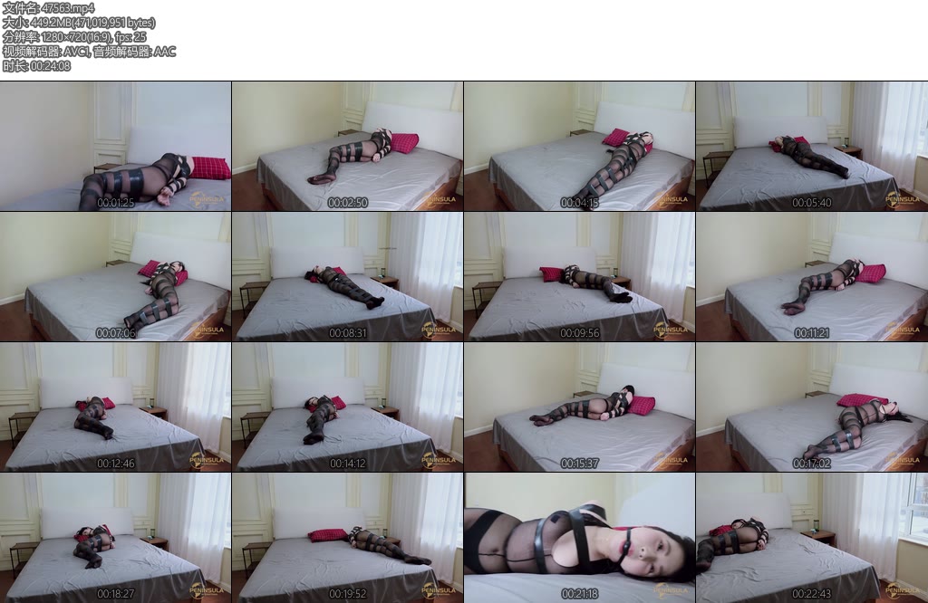 [半岛束艺] 我小看了佟司-丝依依