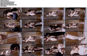 [小羽原创] 倔强 小羊直立吊缚贴贴定拍-丝依依