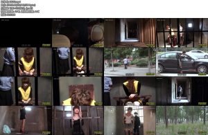 [MJ影视] 色诱 美女王珂在公共场所用自己的美色诱惑劫财害命换来的却是命丧刑场-丝依依