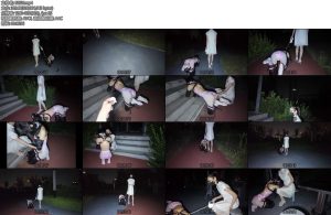 [长颜草] 亲姐牵着被k9束缚的妹妹公园露出少萝霜喵又是被姐姐梦婷tj了这次佩戴了震动假y在姐姐的抚摸下gc娇c连连-丝依依