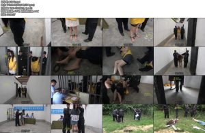 [梨花雨] 天眼 女死刑犯临行末日-丝依依