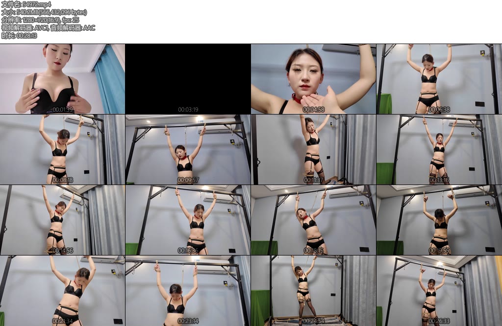 [李大侠] 晓琴大字调叫-丝依依