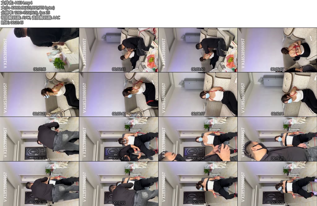 [束龙缚凤] 黑客入侵绑架女白领第一部-丝依依