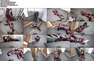 [D-Lemon] 水着拘束引き回しcompleteplan-丝依依