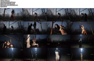 [一绳所爱] 野外木马上的杨若雨-丝依依