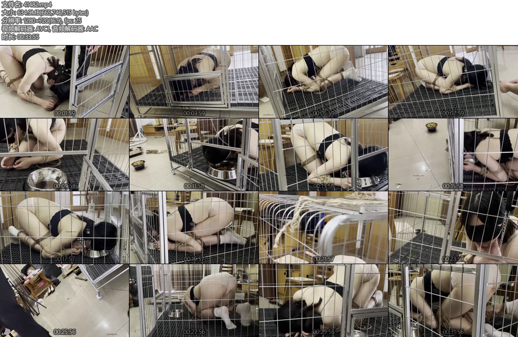 [缚予原创] 你的女神我的狗系列慕狗小可驯化记下K9跪爬牵引爬行训练踩踏骑乘臣服跪趴唱征服狗狗命令耳光SP惩罚狗笼-丝依依