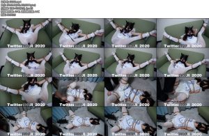 [HUI原创] 大开腿一览无遗拍打虐阴炮击墙高-丝依依