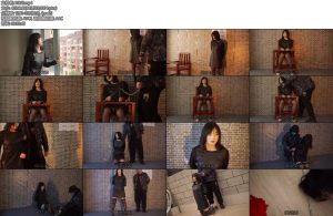 [结绳而治] 女谍-丝依依