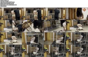 [缚予原创] 你的女神我的狗系列新m一米七慕狗小雨驯化记五花大绑跪缚M腿分腿跪姿羞耻放置牵引爬行训练狗笼跪姿放置新人小雨-丝依依