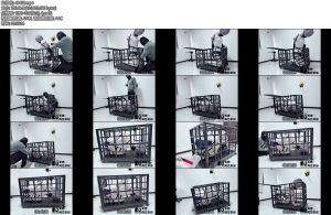 [冥想原创] 完美复刻houseofgord兔笼第六期可爱小Kigger的兔笼体验笼内捆绑单手套太紧很快就麻了挠痒虐脚无处可逃-丝依依