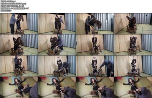 [象人原创] 碎碎女装大佬在线墙高-丝依依