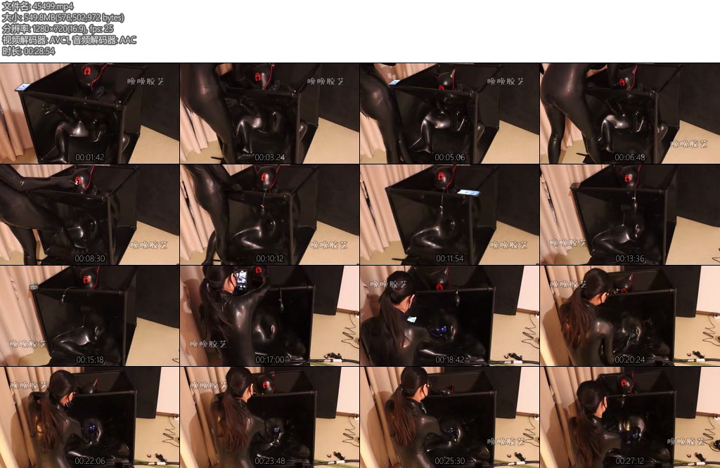 [亚洲绳艺] 被困真空柜的小狗被晚晚主人强制榨精-丝依依