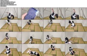 [长颜草] 霜喵 囚禁调教下集百档电击震动玩具全身镣铐口球蒙眼自己找钥匙挣脱爽的直歂虐的直哭一镜到底没有放水-丝依依