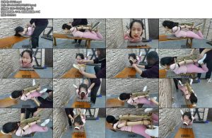 [飞天原创] 艺仙儿K9架禁锢臭鞋捂嘴TK电击强制高潮-丝依依