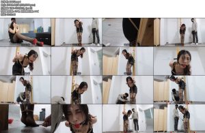 [得意客] 惩罚女秘书（1）恩可主演-丝依依