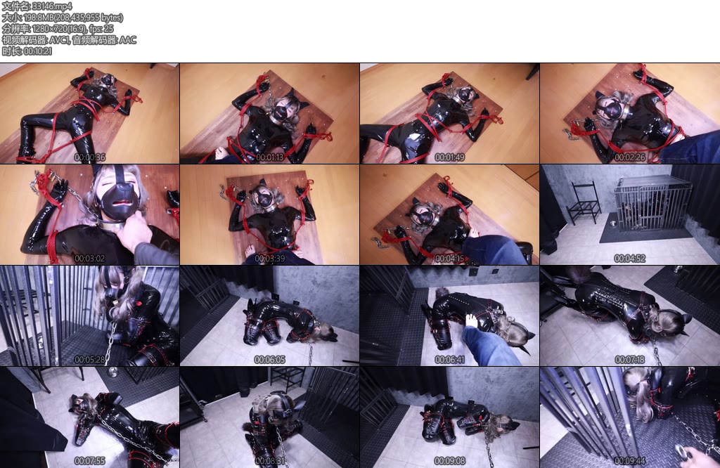 [D-Lemon] 新装备到手使劲玩弄钉在板子上玩弄和BM家送Lemon的新的犬奴套装试穿调教-丝依依