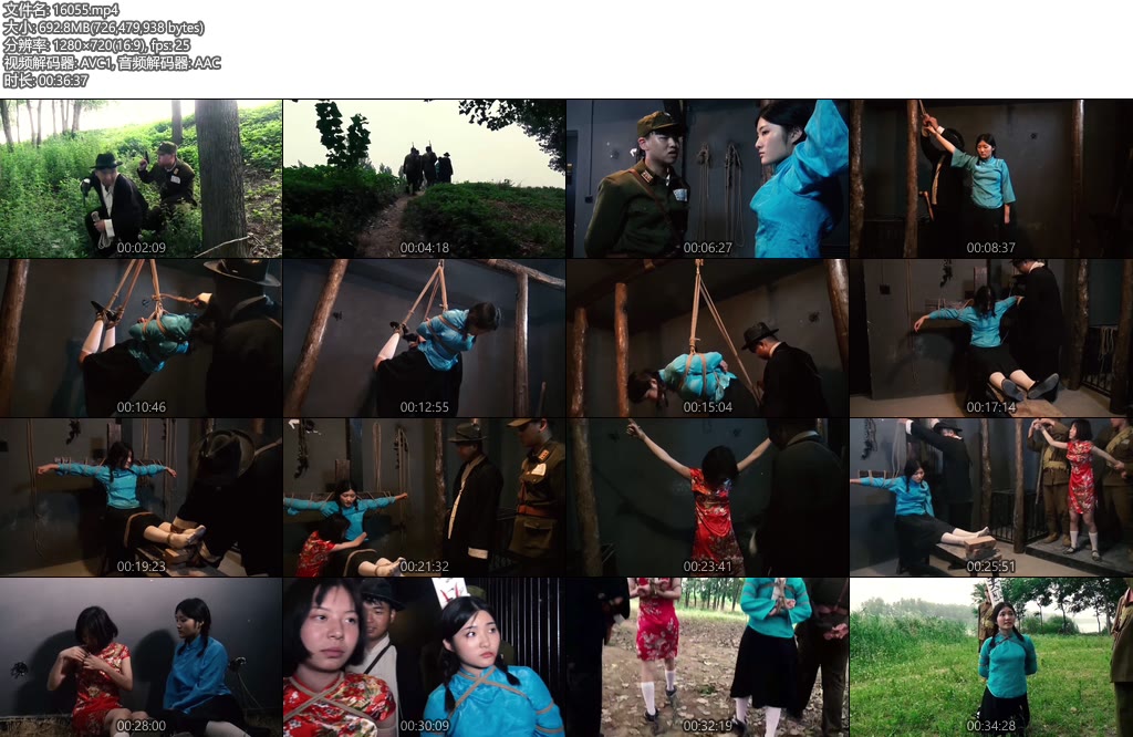 [胜景影视] 最后一封血书-丝依依