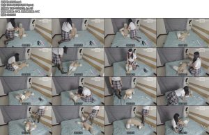 [津缚原创] 我的CD小男友（第八集）学弟狗狗的日常调教play学狗狗的学弟真可爱-丝依依