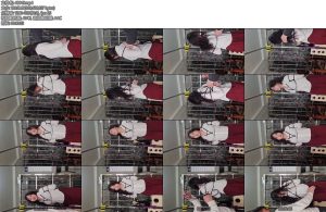 [皖北原创] 皖北绳艺 新人雪雪简单日式捆绑体验超美白衬衫大波浪-丝依依