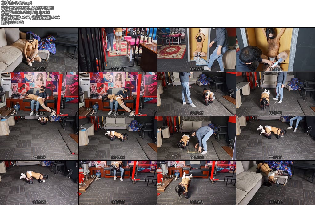 [意之窗] 汤圆k9训练学狗狗撒尿狗盆进食-丝依依