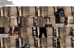 [路由原创] 新模小白极限电击强制垫脚吊郊狼开到300把M属性给发觉出来了-丝依依