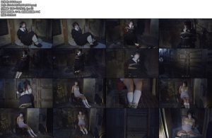 [亚洲绳艺] 学園の秘密を見た少女-丝依依